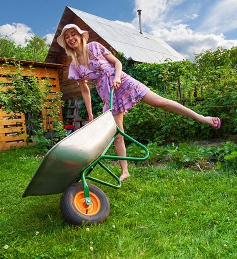 Atlanta Lawn Care | Lawn Service Forest Park GA - Eye Candy