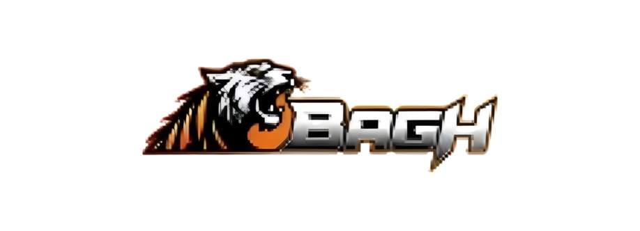 Bagh Live Cover Image