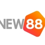 New88 Profile Picture