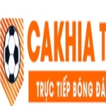 indigenascovid19 red thao túng kết quả Profile Picture