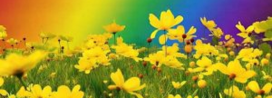 Best Online Shopping Mall Cover Image