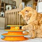 Petstages Tower of Tracks Profile Picture