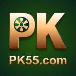 pk55gamecombr Profile Picture