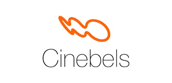 Cinebels :: Buy In-Wall Speakers Online in India | Authorized Dealer for Klipsch & Jamo
