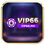 Vip66 Mx Profile Picture
