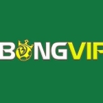 BONGVIP Cổng cá cược đỉnh cao Profile Picture
