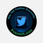 pvausait3 Profile Picture