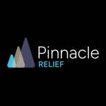Pinnacle Relief Profile Picture