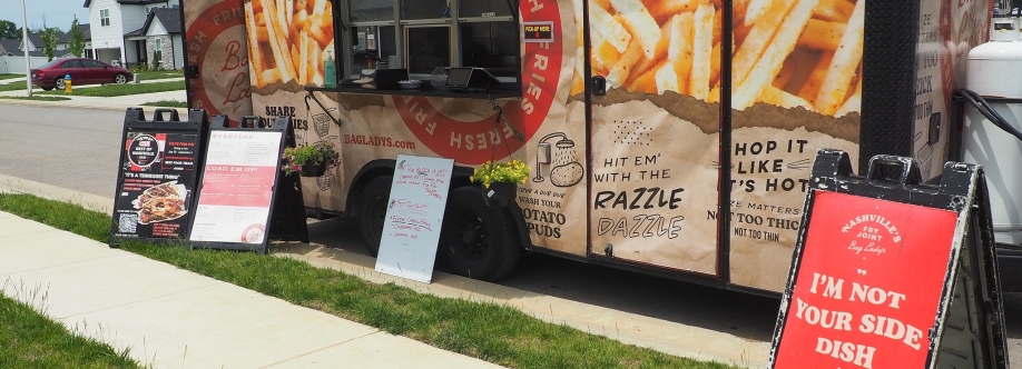 Bag Ladys Cover Image