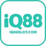 IQ88 Profile Picture