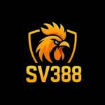 SV388 Profile Picture