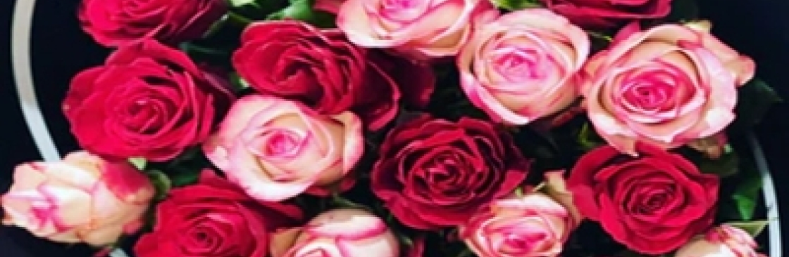 Mathews Camroon Cover Image