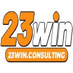 23Win consulting Profile Picture
