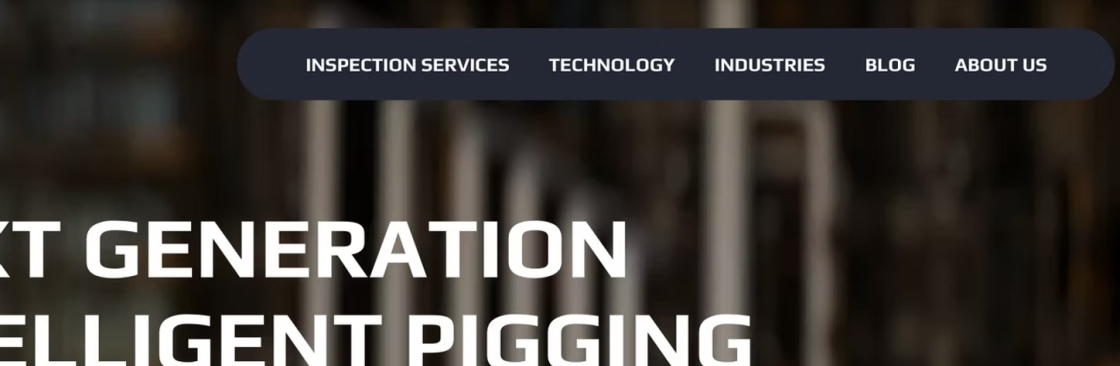 vectorinspection Cover Image