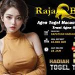 rajabandot link  alternatif Profile Picture