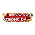 trangcadobongdacocom Profile Picture