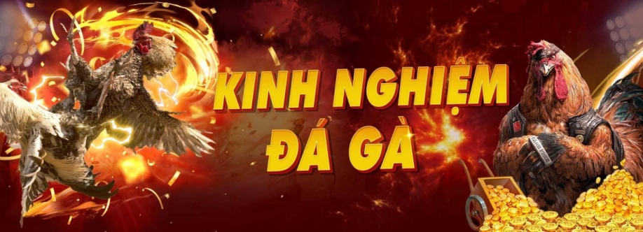 Diễn Đàn Đá Gà Cover Image