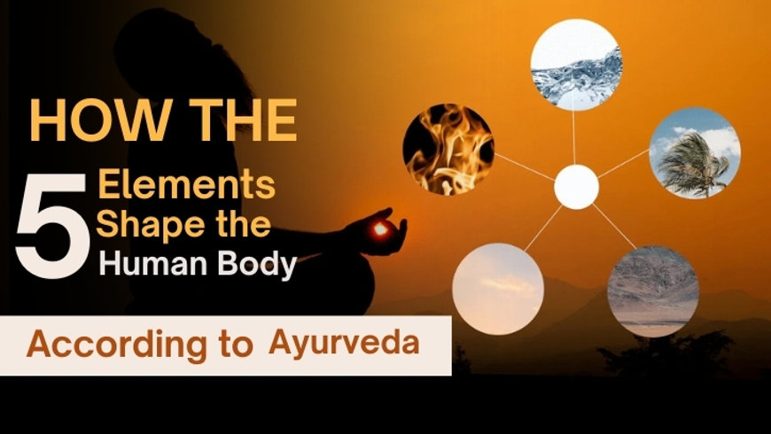 How the Five Elements Shape the Human Body According to Ayurveda