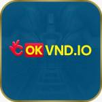 Okvnd Profile Picture