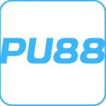PU88 Profile Picture
