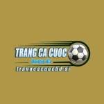 Trang Cá Cược Bóng Đá AI Profile Picture
