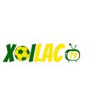 xoilac cx Profile Picture
