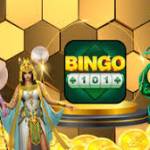 BINGO 101 Profile Picture