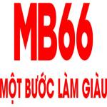 Taimb66 com Profile Picture