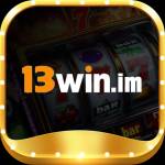 13win im Profile Picture