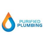 Purified Plumbing Profile Picture