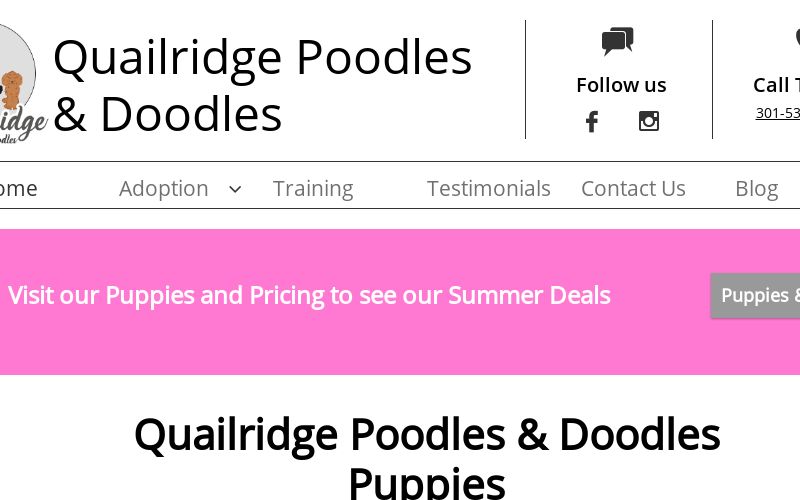Mini Bernedoodle & Goldendoodle Puppy Prices | Quailridge Breeders Maryland