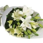 Everpetal Florist Profile Picture