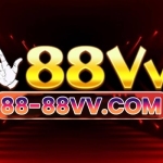 8888Vv com Profile Picture