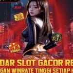 bandar slot Profile Picture