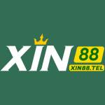 xin88tell Profile Picture