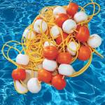 Pool Lane Profile Picture