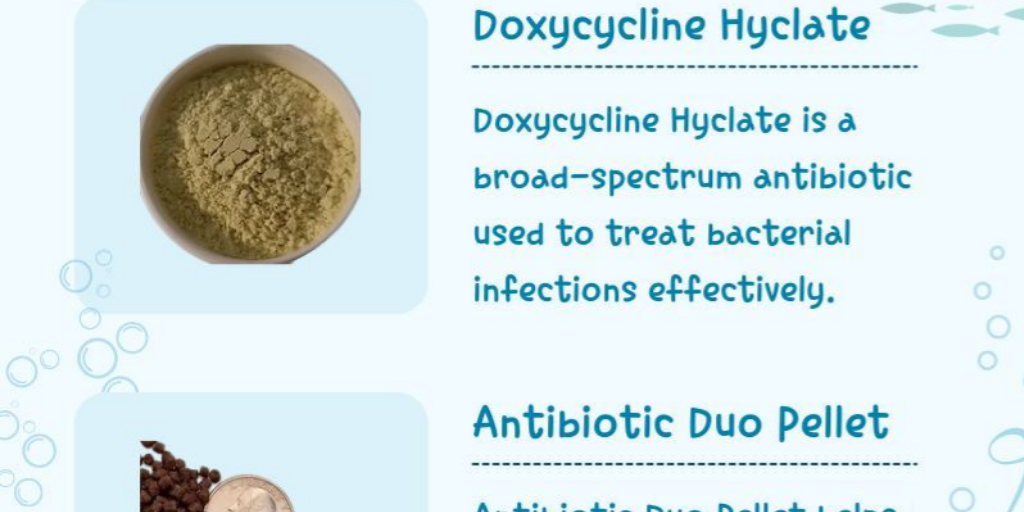 Medications for Goldfish by ChuChu Goldfish - Infogram