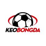 Kèo Bóng đá Profile Picture