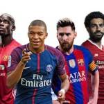 angrypineapple Profile Picture