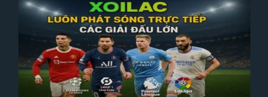 maniffestocom giả mạo Cover Image