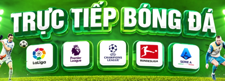 lisabettany com giả mạo Cover Image