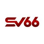 SV66 Profile Picture