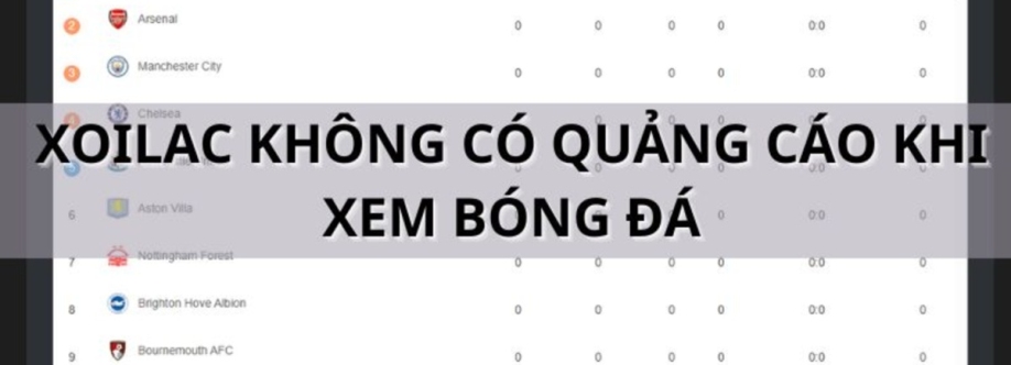 frogmouth5 Cover Image