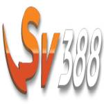 Sv 388 Profile Picture