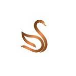 Slate of Swan Profile Picture
