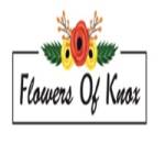 Flowers of Knox Profile Picture