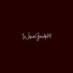 windeguide 101 Profile Picture