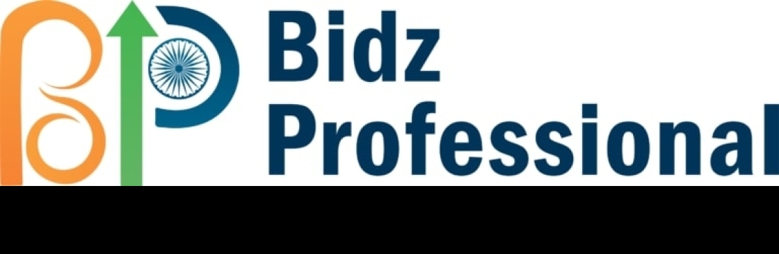 Bidz Professional Cover Image