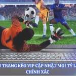 keovipdecom Profile Picture