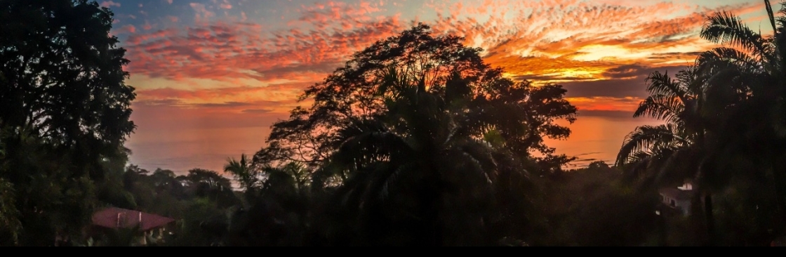 Dominical Real Estate Cover Image